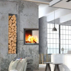 Camina Schmid Kamineinsatz Ekko 45s