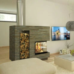 Camina Schmid Kamineinsatz Ekko L 55h